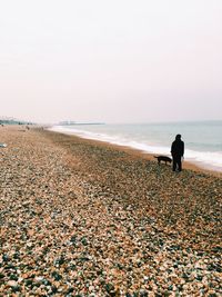 Rear view of man on beach against sky