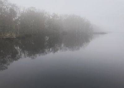 Reflection of trees in lake during foggy weather
