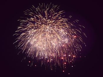 Low angle view of firework display