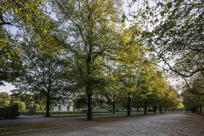 Trees in park during autumn