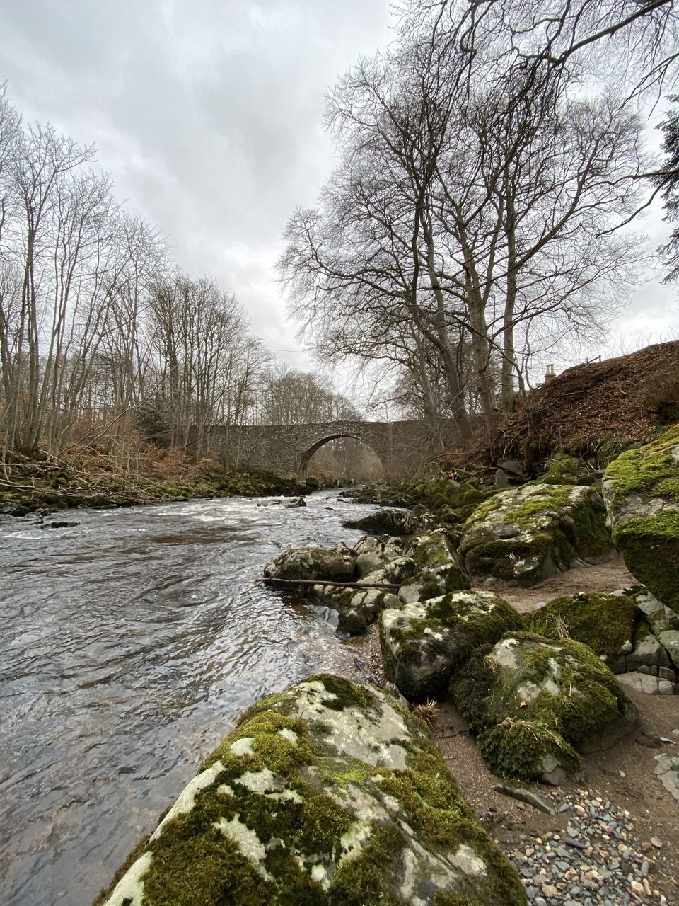 SCENIC VIEW OF STREAM AMIDST TREES AND ROCKS AGAINST SKY