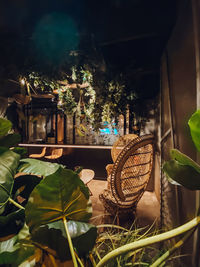 Close-up of potted plants against building