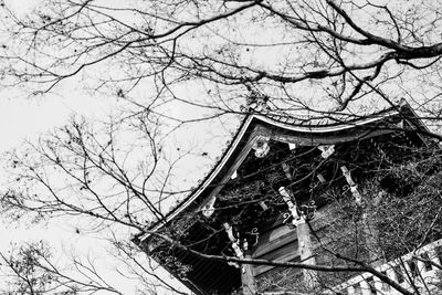 Low angle view of tree by building against sky