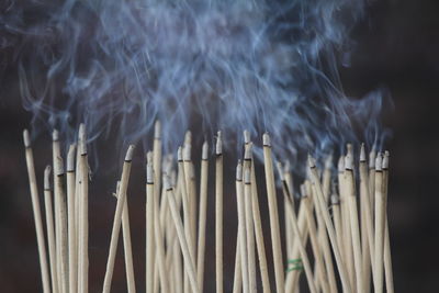 The incense burned to worship the buddha and the sacred.