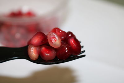 Close-up of red fruit