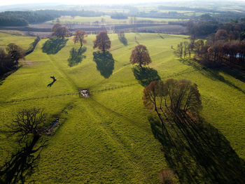 High angle view of agricultural field