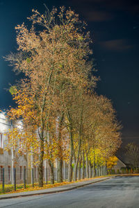 Trees by road against sky during autumn