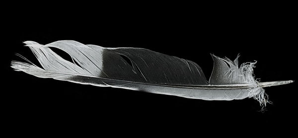 Close up of black background