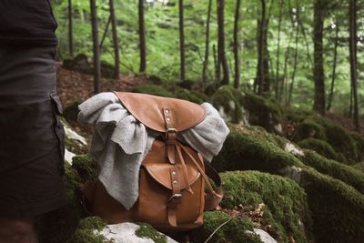 Rear view of man working in forest