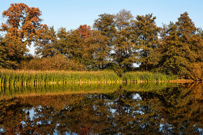 Reflection of trees in lake against sky during autumn