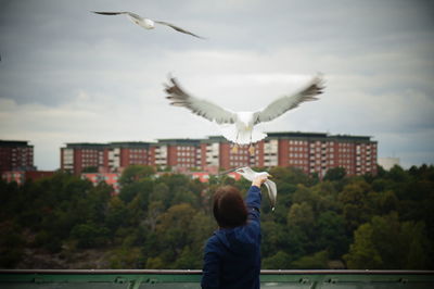 Rear view of man with seagulls flying against sky