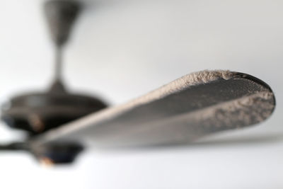 Close-up of black coffee on white background