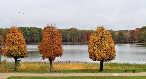 Panoramic view of trees on lake during autumn against sky