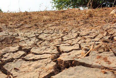 Surface level of barren land on field