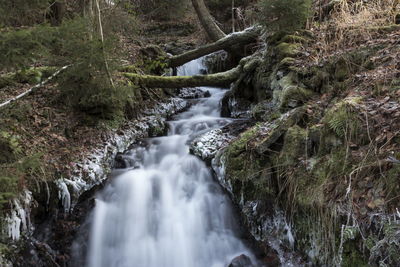 Waterfall in forest