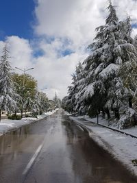 Road amidst trees against sky during winter