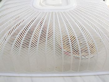 Close-up of potted plant against wall