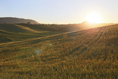 Scenic view of field against sky during sunset