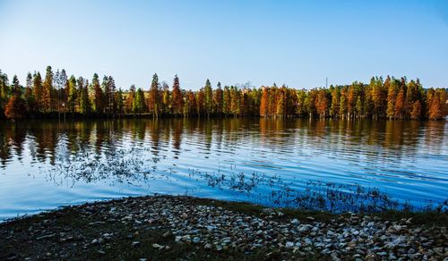 Scenic view of lake against clear sky