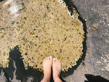 Low section of person standing on rock