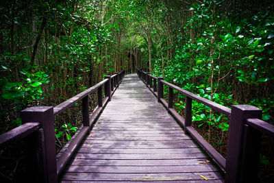 Wooden footbridge amidst trees in forest