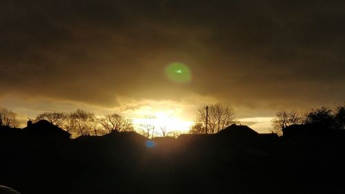 Silhouette of trees at sunset