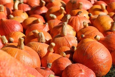 Full frame shot of pumpkins