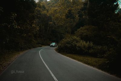 Road amidst trees in forest