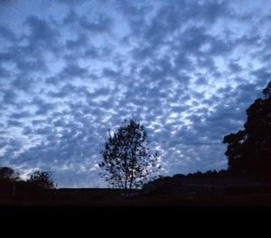 Silhouette of bare trees against cloudy sky