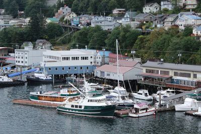 Boats moored at harbor by sea
