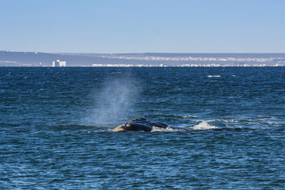 Scenic view of sea against clear sky