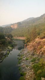 Scenic view of river amidst trees against sky