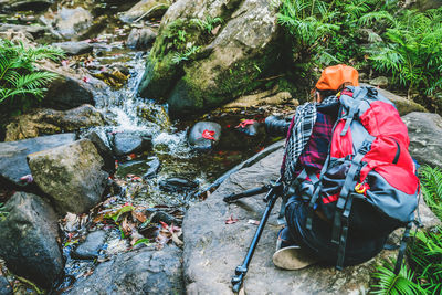 Rear view of woman photographing with camera in forest