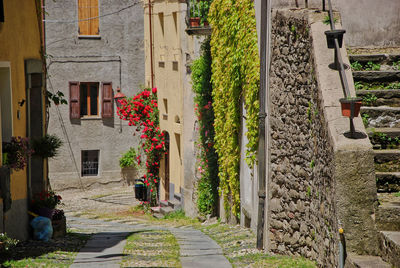 The village of compiano, province of parma, emilia romagna, italy.