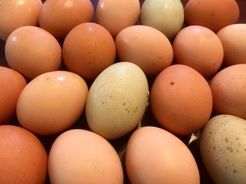 Close-up of eggs