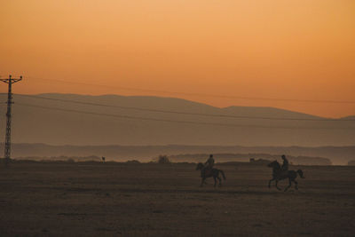 People riding horse on field during sunset