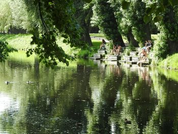 Reflection of trees in river