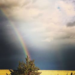 Rainbow over trees against sky