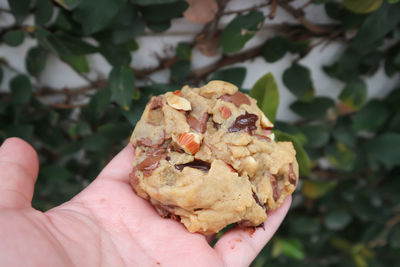 Close-up of hand holding bread