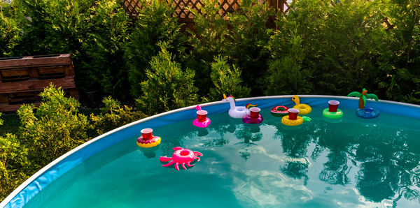 High angle view of inflatable rings floating in swimming pool by plants