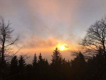 Silhouette trees against sky during sunset