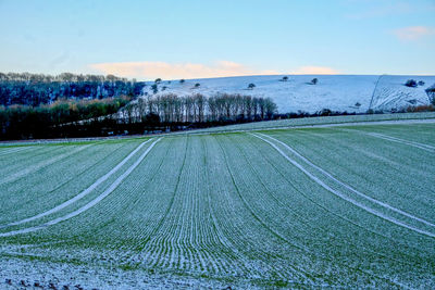 Scenic view of agricultural field against sky