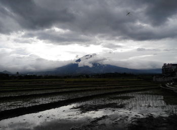 Scenic view of field against sky during rainy season