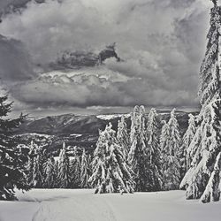 Scenic view of snow covered landscape against sky