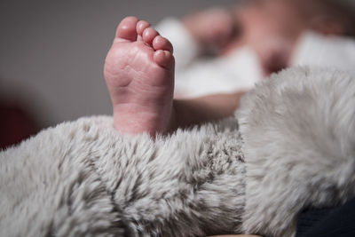 Close-up of baby feet on fake fur