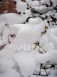 Close-up of snow