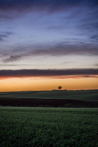 Scenic view of field against sky during sunset
