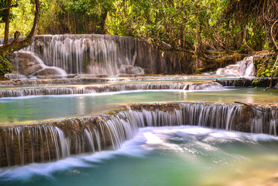 Scenic view of waterfall in forest