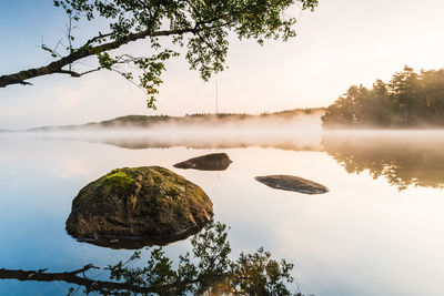 Morning mist at calm lake