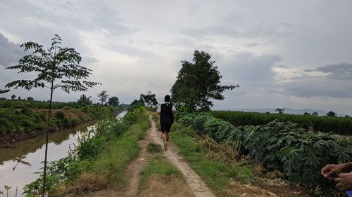 Rear view of man amidst trees on field against sky